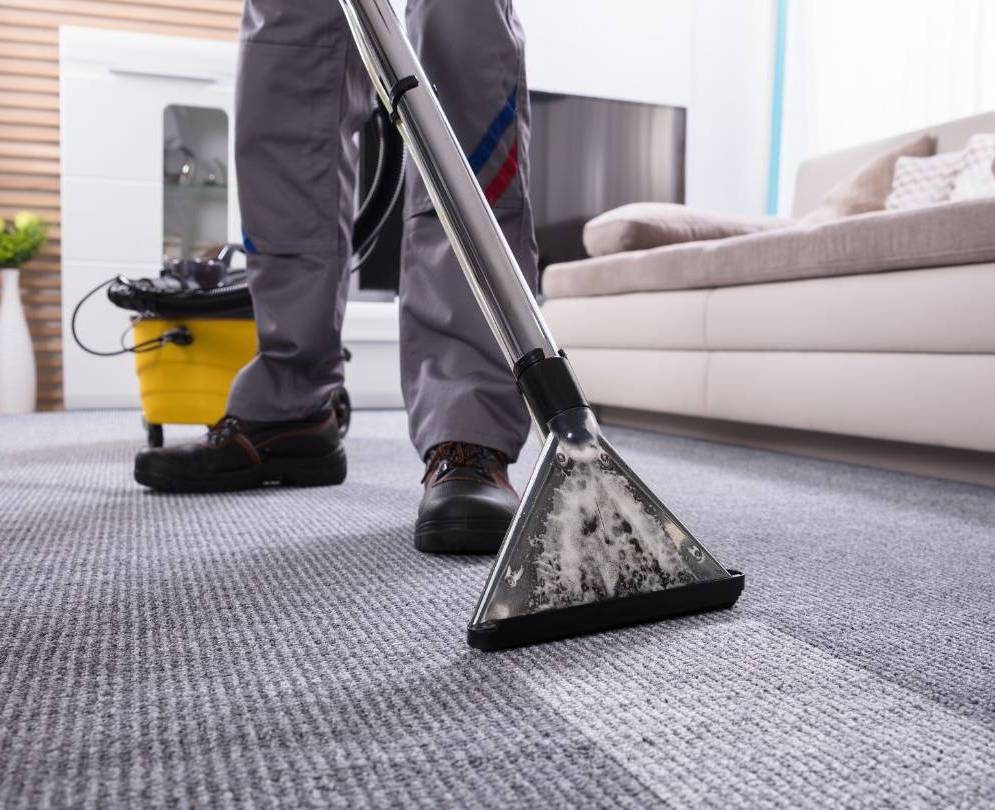 Как не ошибиться с выбором средства для моющего пылесоса - фото 1